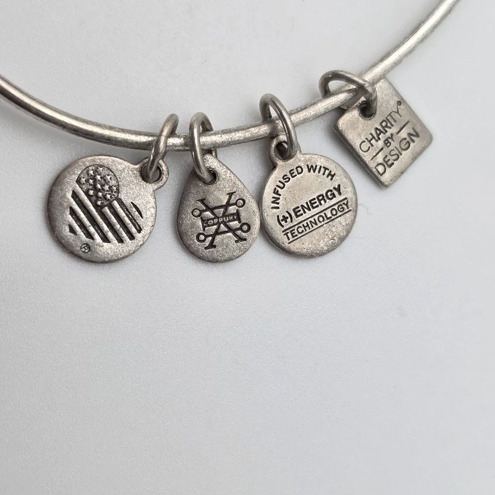 ALEX & ANI 'New Beginnings' Bracelet Charm Bangle Rafaelian Silver‎ Made In USA